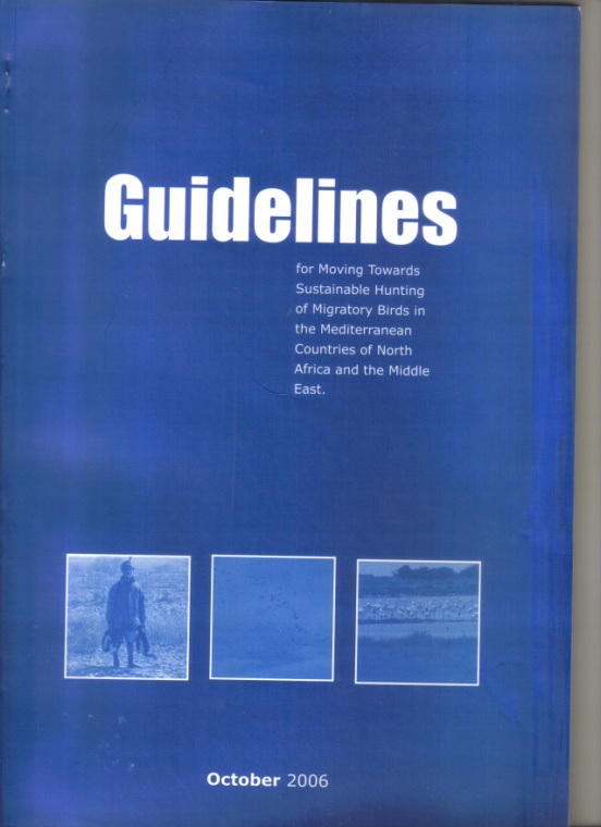 Guidelines for Moving Towards Sustainable Hunting