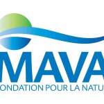 MAVA Foundation