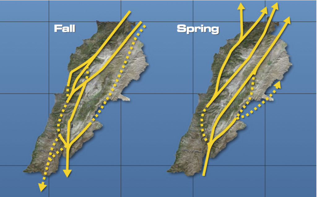 IBA's Map