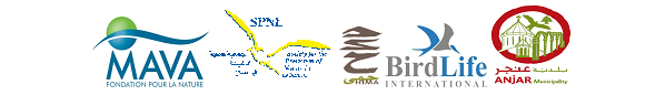 bannerbm2013