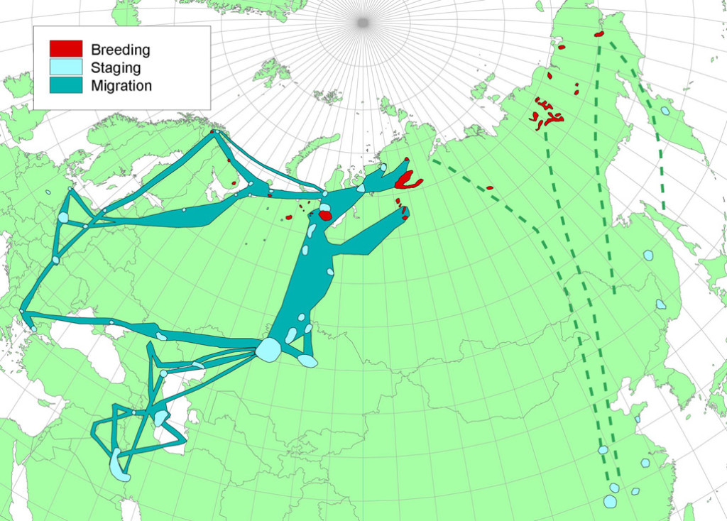 [Map © Norwegian Ornithological Society (NOF)]