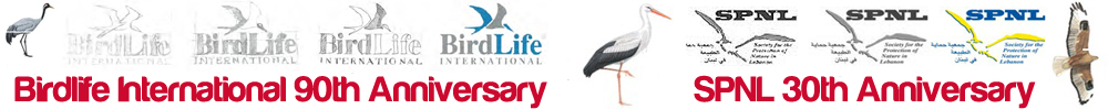 Society for the Protection of Nature in Lebanon