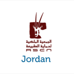 JO-300x244