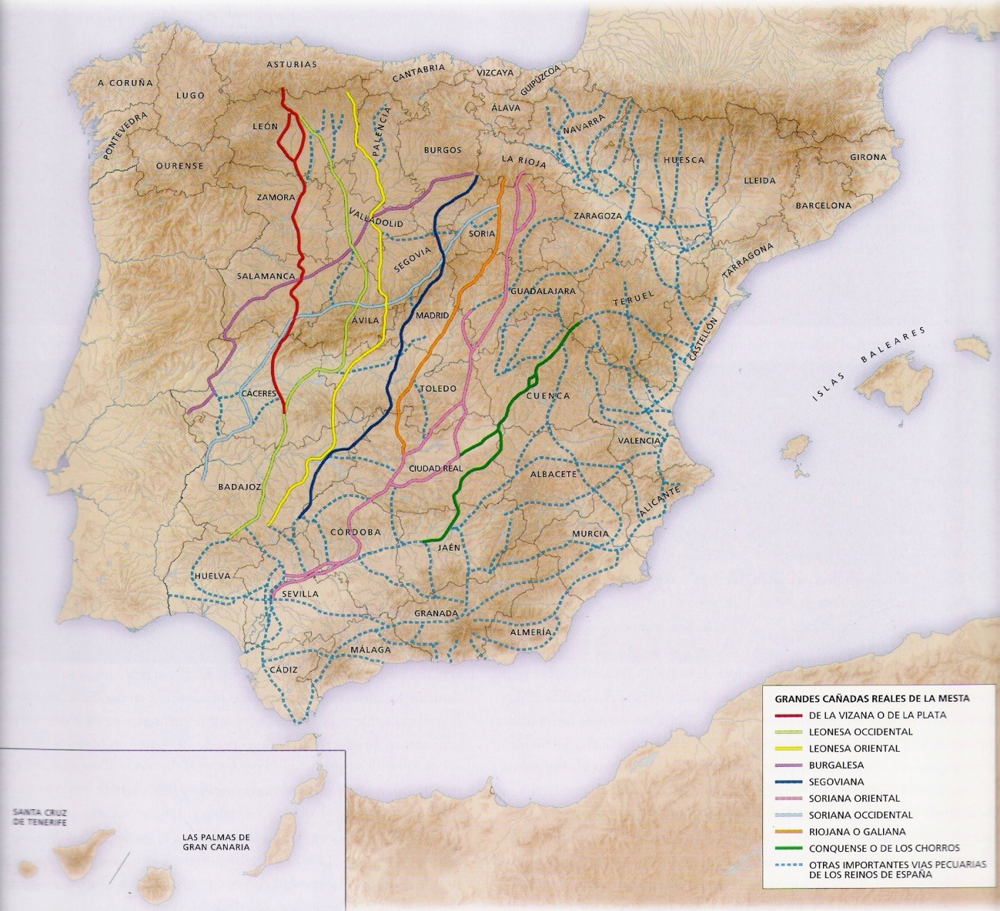 Spain is the only country in the world protecting drove roads since the XIII century, grassland of 124.000 Km, with a surface of 420.000 ha. (0.83% of the country). Their direction is almost N-S, allow ecological connectivity between different ecosystems