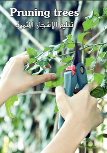 Pruning trees