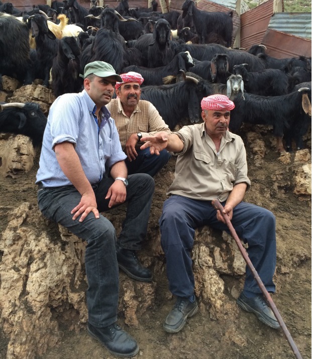 Short documentary on grazing 1