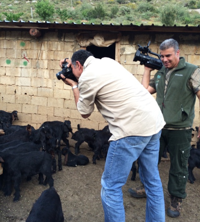 Short documentary on grazing pic 5