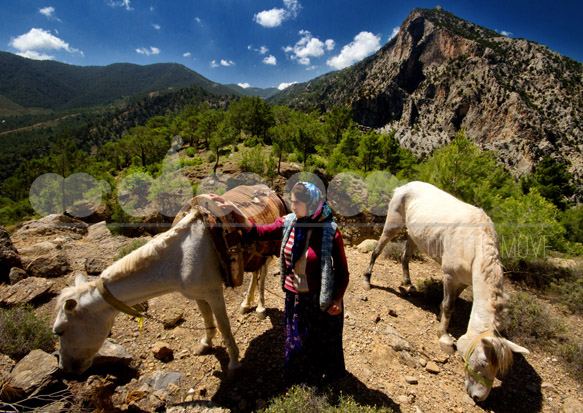 Image copyright Baris Koca, 2014