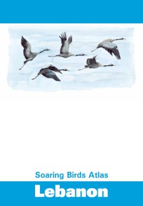 Soaring Birds Atlas