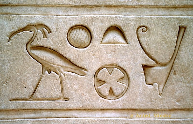 Hieroglyph from the Temple of Edfu, Egypt (ca. 250 BC), unmistakably depicting a Northern Bald Ibis. The 7 birds discovered in Palmyra in 2002 were the last living descendants of those revered by the ancient pharaohs. Photo: Ariel Vándor.