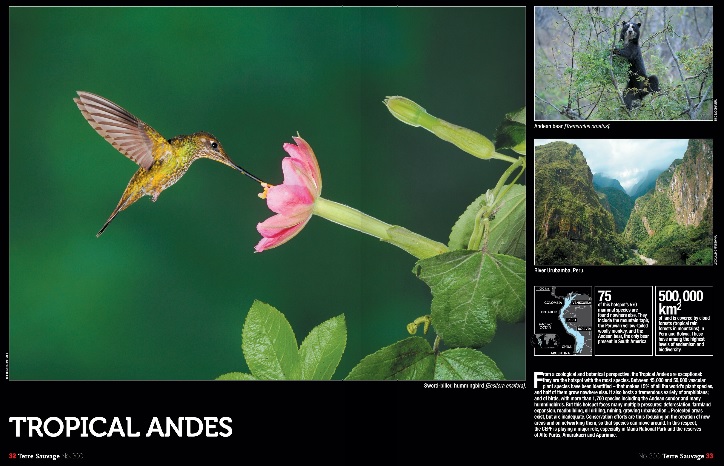 Tropical Andes