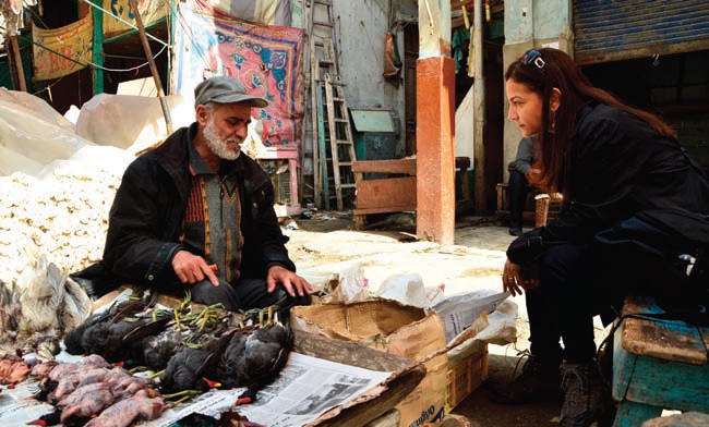 A socio-economic study finds out the importance of shot birds in local peoples food consumption (Wattar Al Bahry)
