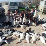When Doves Die pic 4