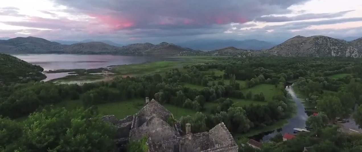 Lake Skadar: people are embracing all things pelican © Gregor Subic