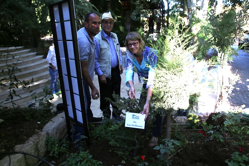 The Director General of the MAVA Foundation Mrs. Lynda Mansson , planting a Cedar Tree for honoring Dr. Luc Hoffmann, at West Bekaa Country Club in Hima Kherbet Kanafar