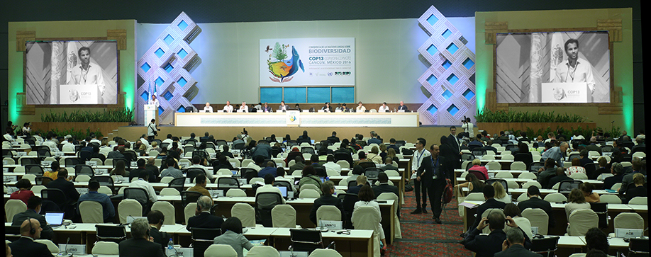 1plenary_cbd_8471-tn