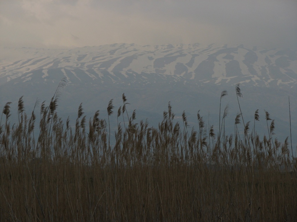 Harsh conditions at the Kfar Zabad IBA, Lebanon David Thomas Harsh conditions at the Kfar Zabad IBA, Lebanon David Thomas