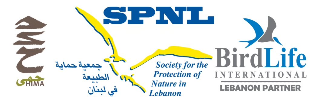 Banner SPNL web