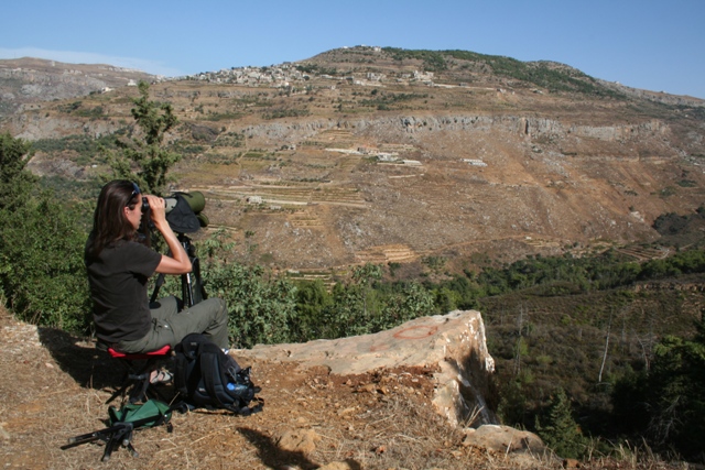 Ramlieh A wide valley (the valley of the River Safa, which becomes the Damour River closer to the coast) containing Pine woodland, terraced orchards, low scrub and some bare rocky cliffs