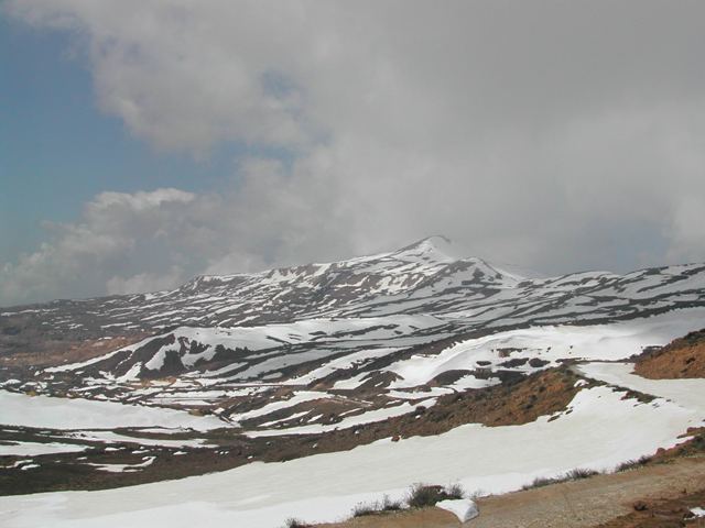 Sannine much of the mountain is protected from hunting and grazing, some trees have been planted by the Rim water company that owns most of the site