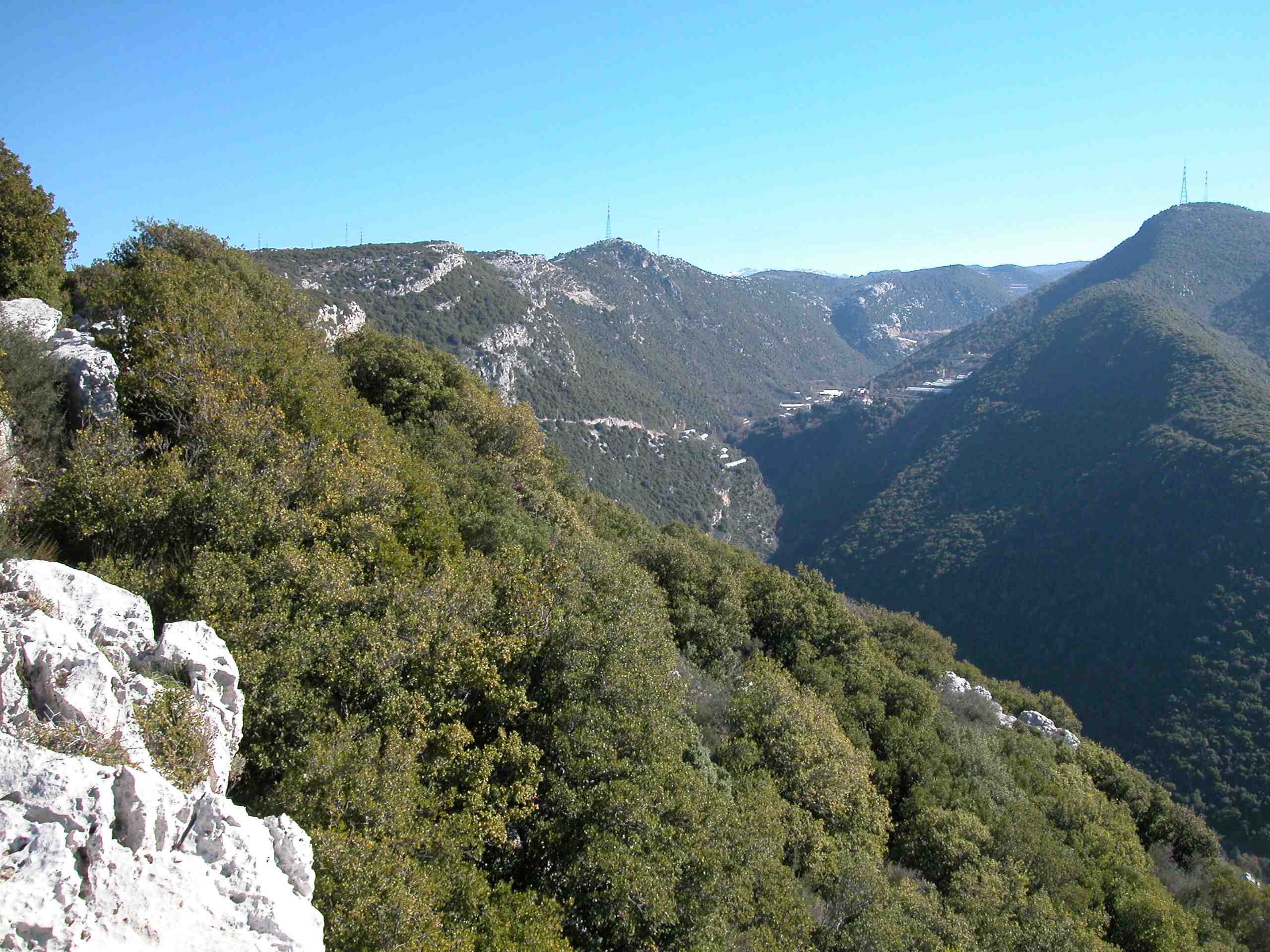Bentael web Northern side of the valley is protected as the "Bentael Nature Reserve" - hunting and garbage dumping banned, foot access in the nature reserve is limited to designated trails