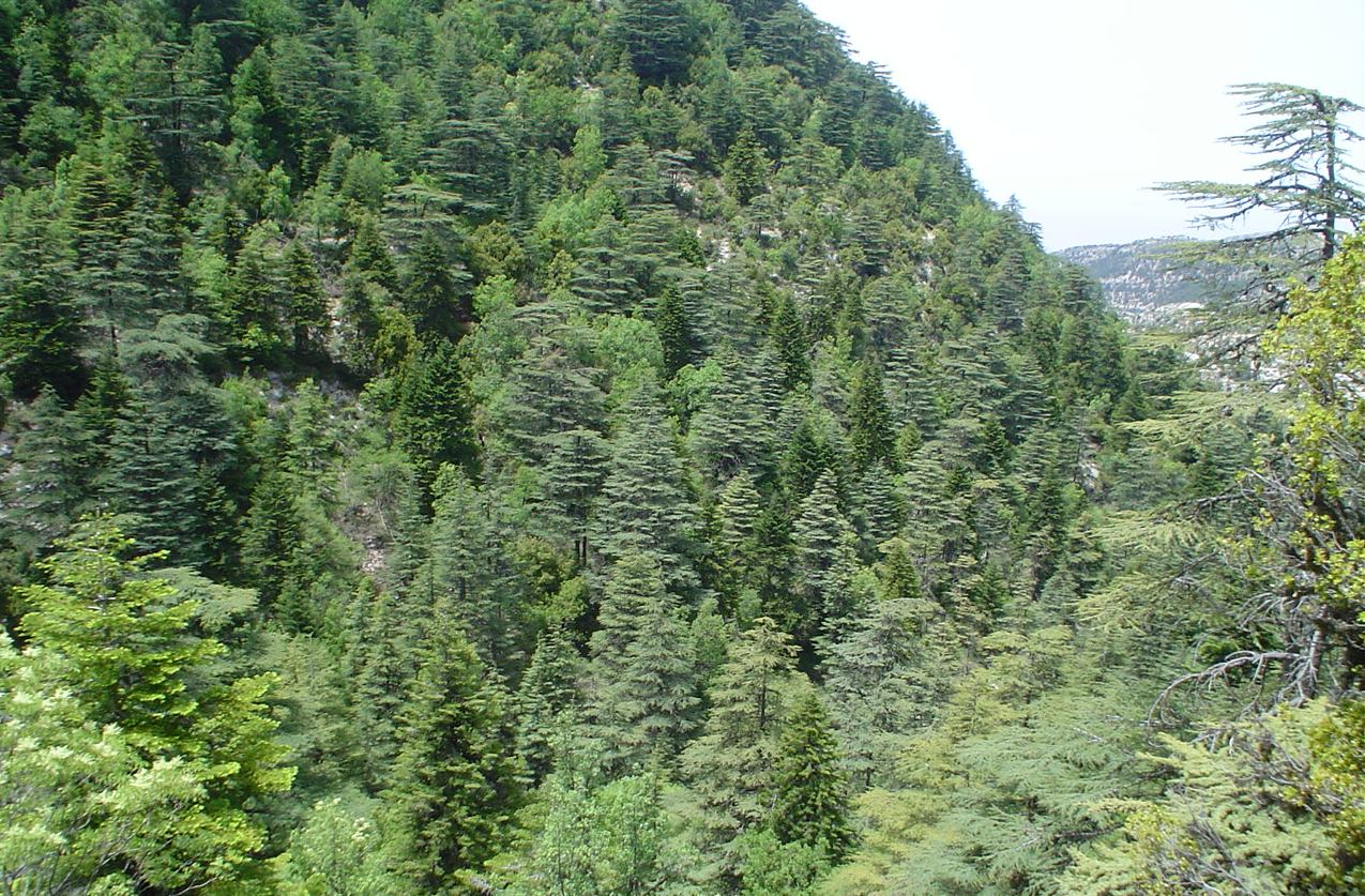 Ehden web declared by law as nature reserve in 1992. A management plan exists but needs to be updated