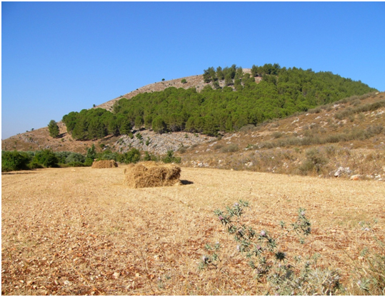 Hima EbelEs-Saqi Pic2