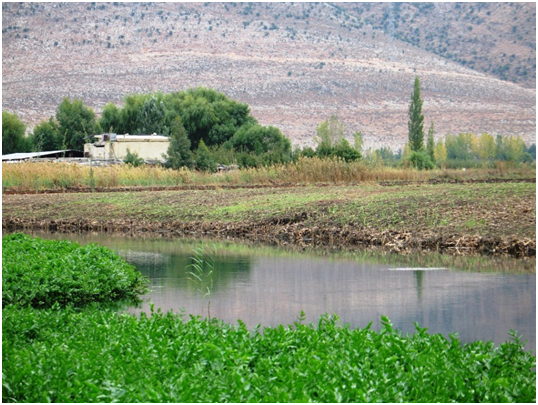 Hima KfarZabad Pic 1