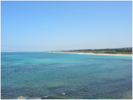 Hima of Qoleileh Mansouri Pic 1 SPNL are rewarded for conserving the coastline at Hima Qoleilih, southern Lebanon, whilst supporting local people.