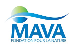 MAVA Foundation