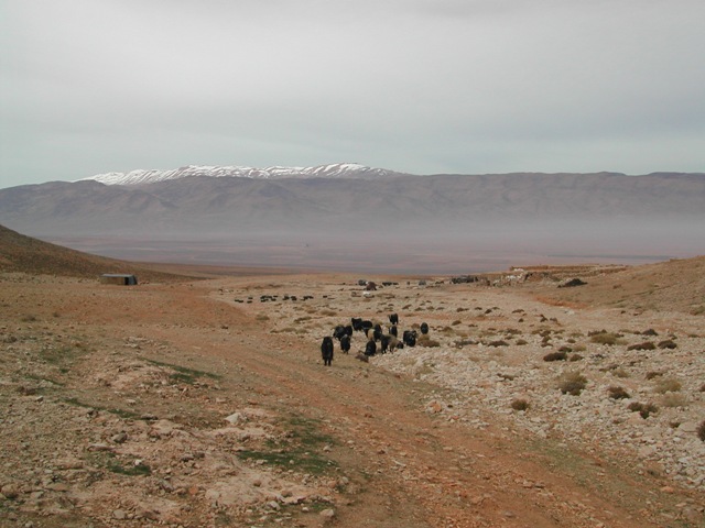 ras Baalbek