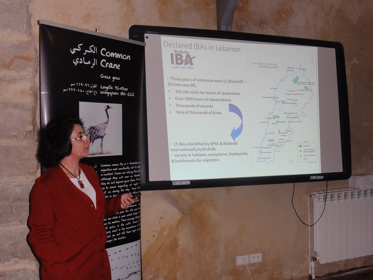 Presenter:Bassima Khatib – SPNL Assistant Director General