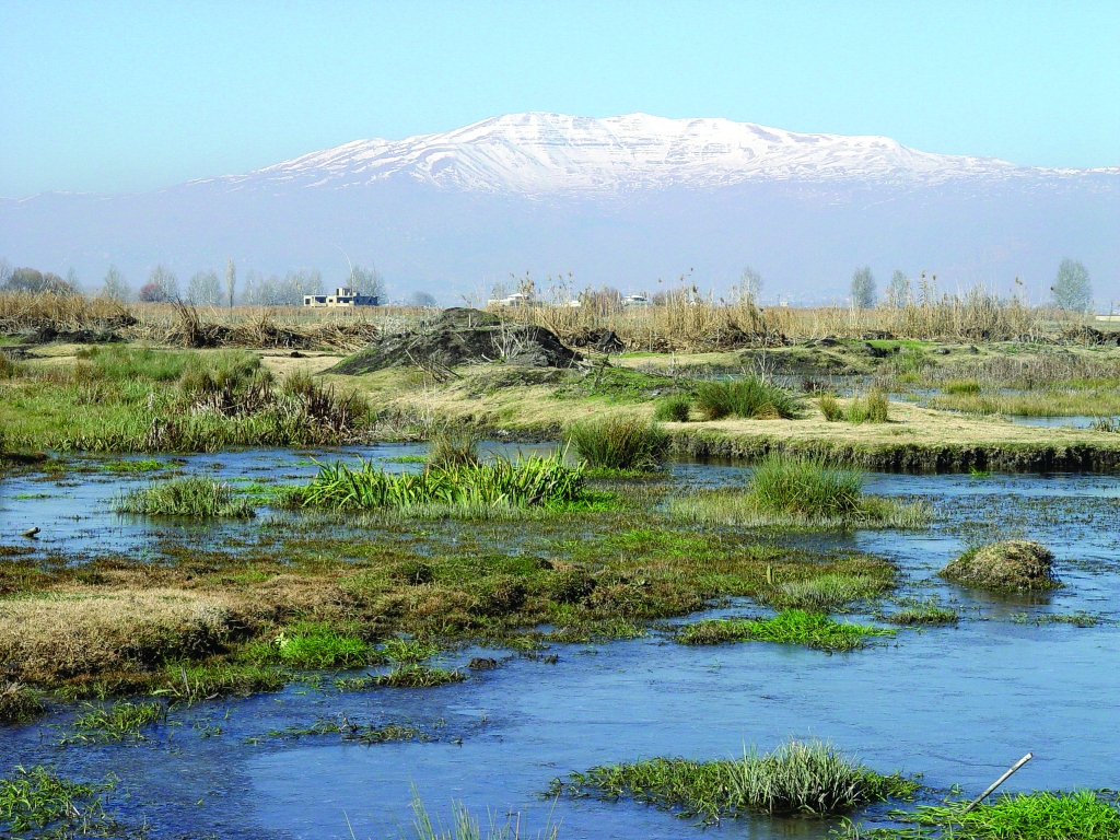 Anjar