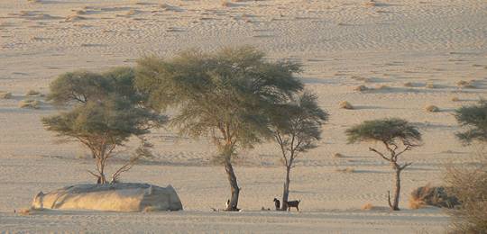 Worlddesertificationday_web_0