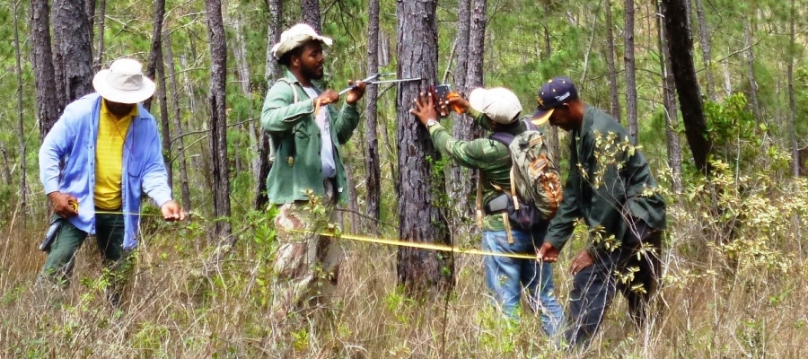 IAM-carbon_transects_team_working-Sierra_Bahoruco-DomRep