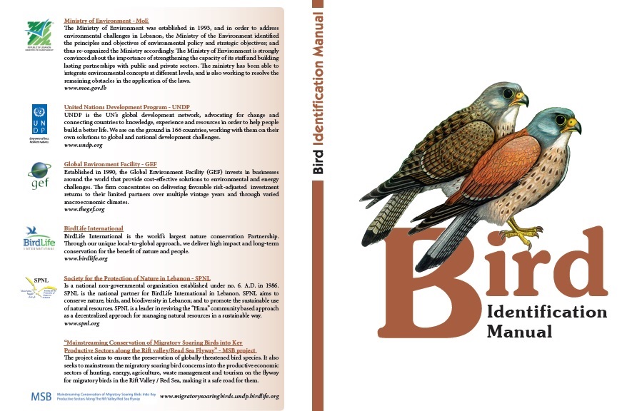 Bird Identification Manual