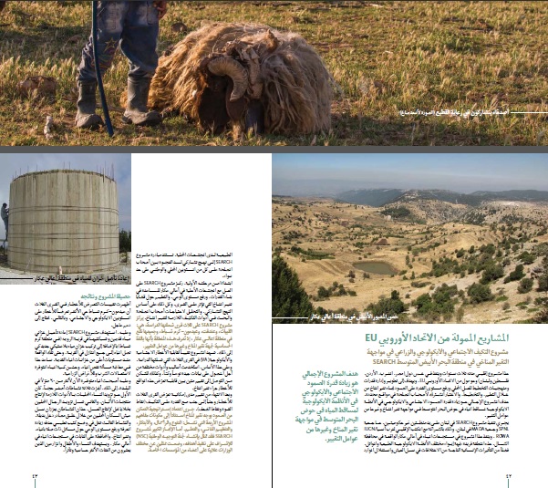 Cover Arabic Magazine