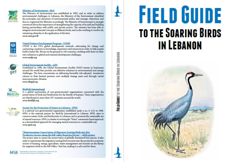 Field Guide to the Soaring Birds
