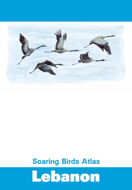 Soaring Birds Atlas Cover
