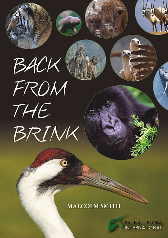 Back from the brink