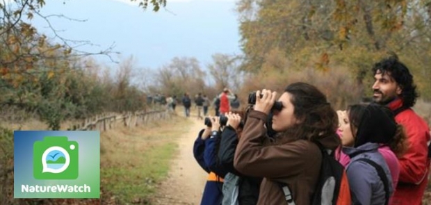 NW-news-image2