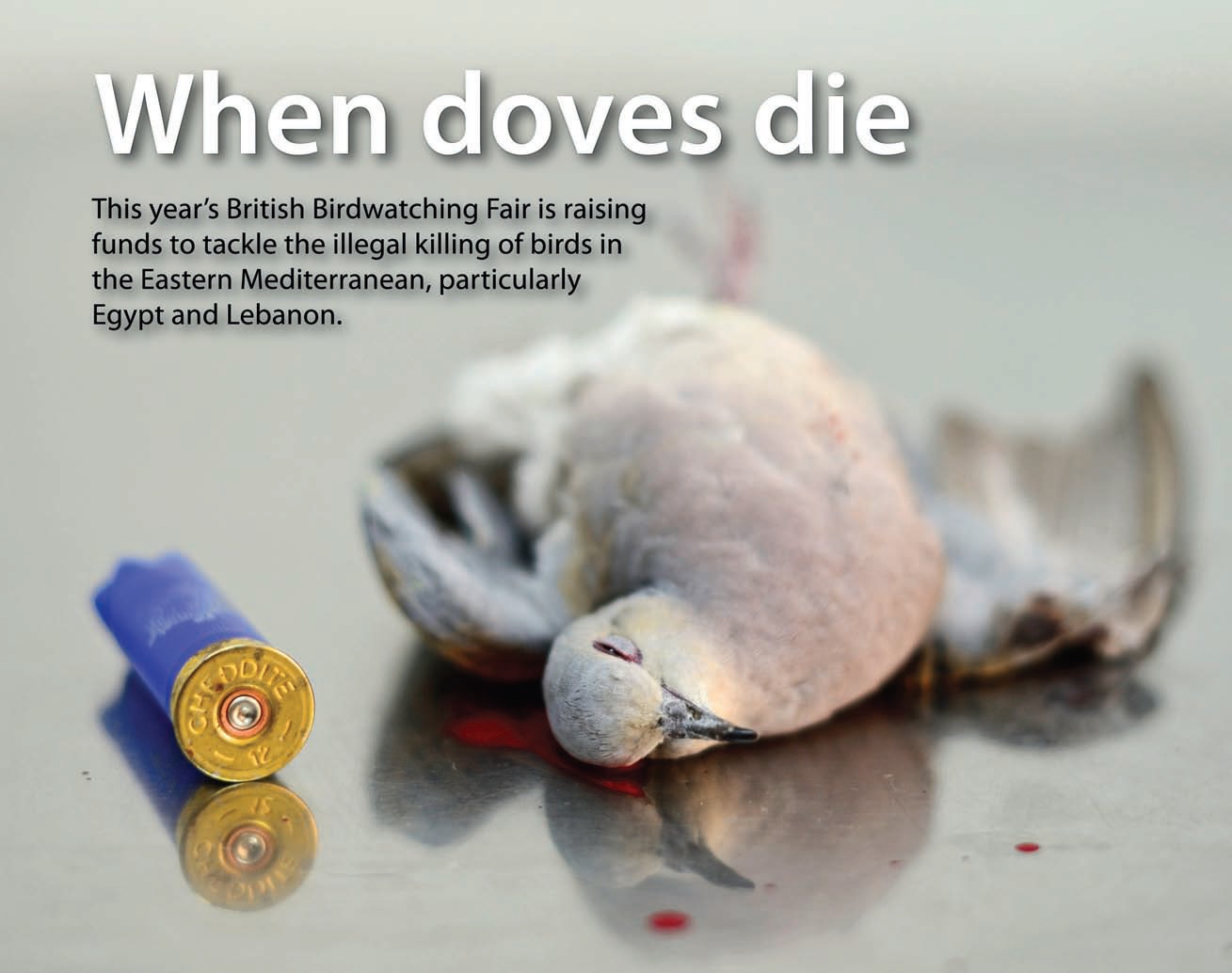 When Doves Die