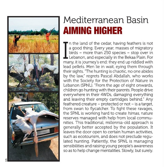 Aiming Higher Terre Sauvage