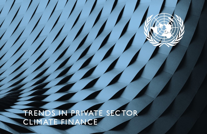 Report UN Private Sector