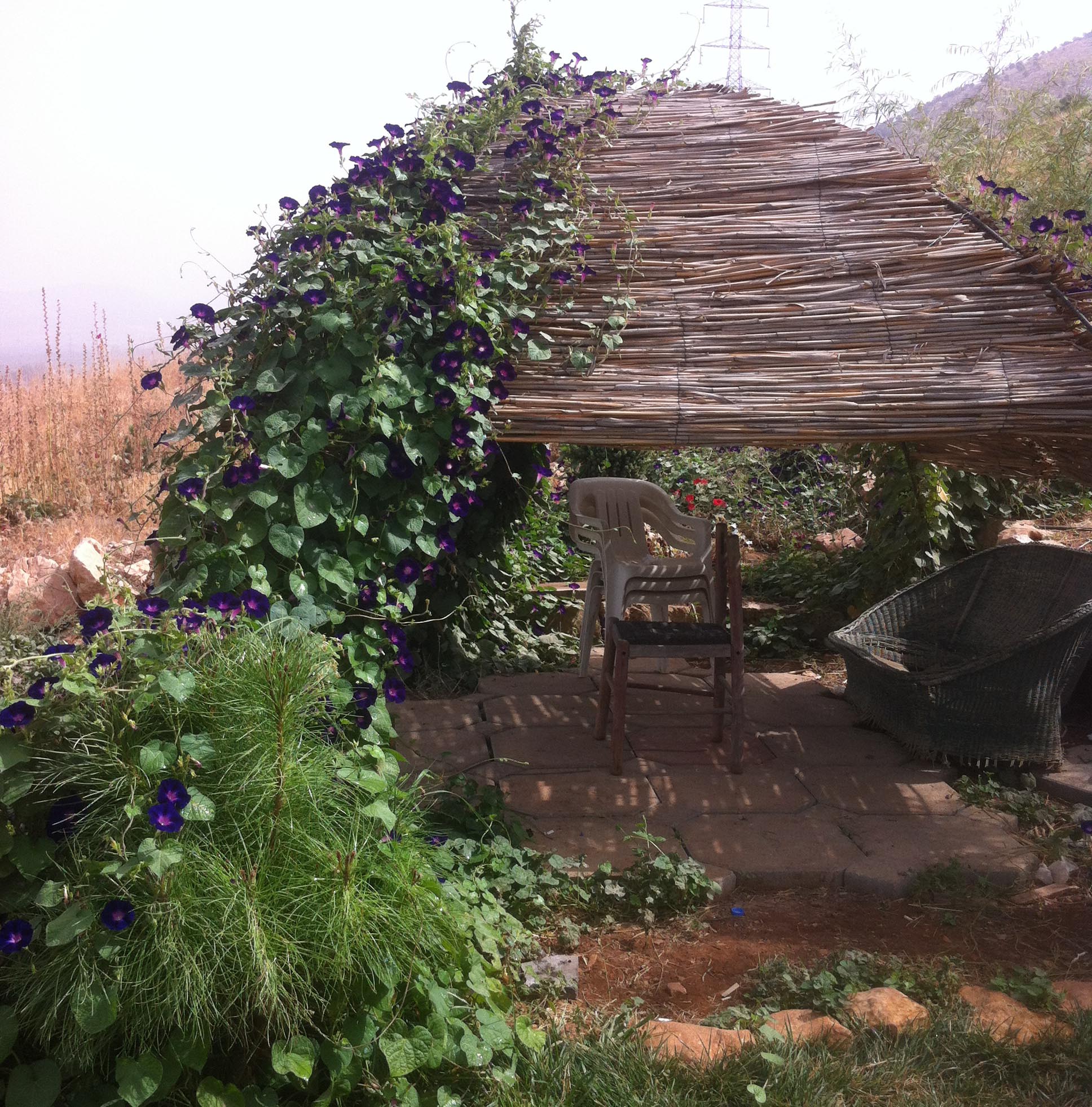 photo-2