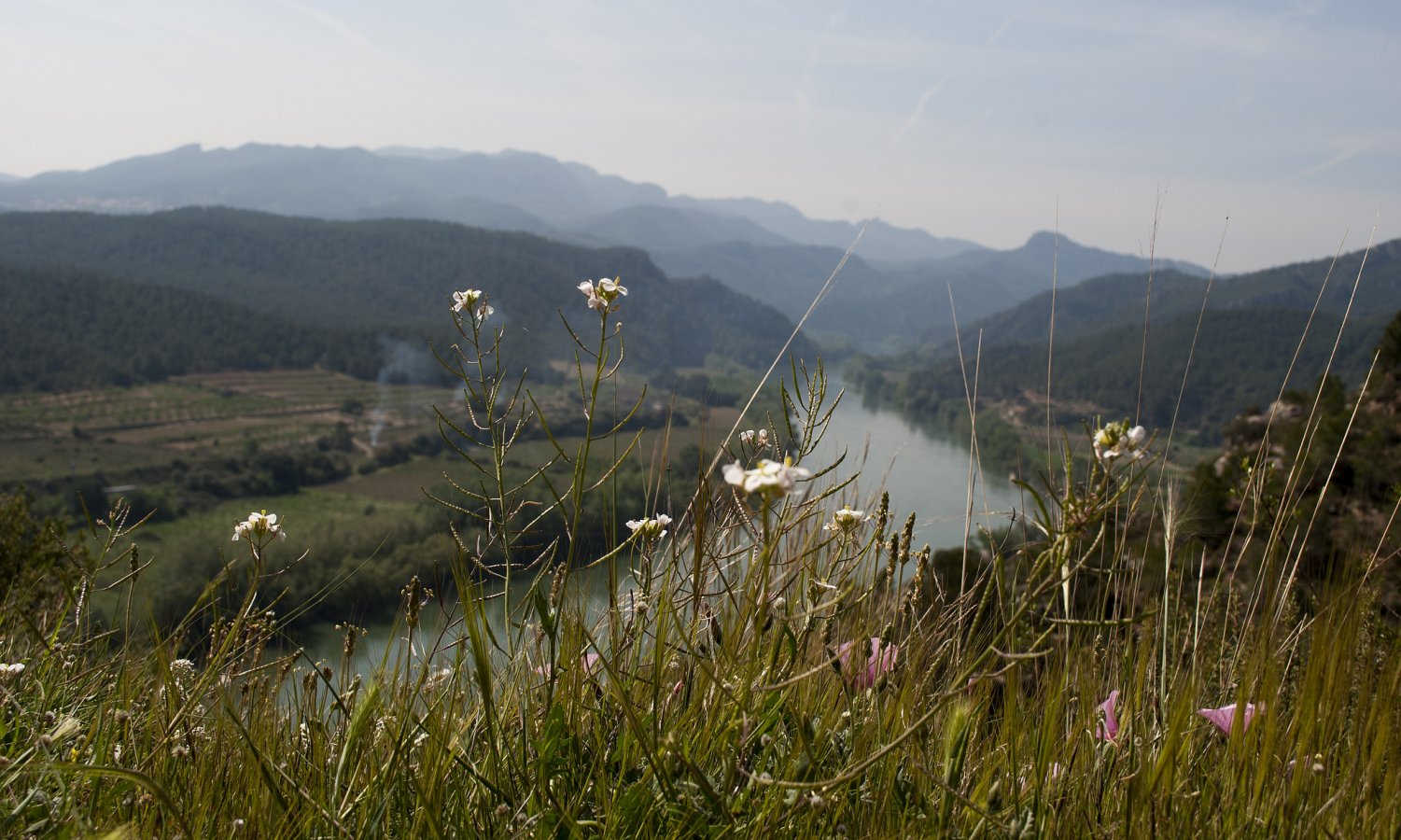 ebro_delta_catalonia