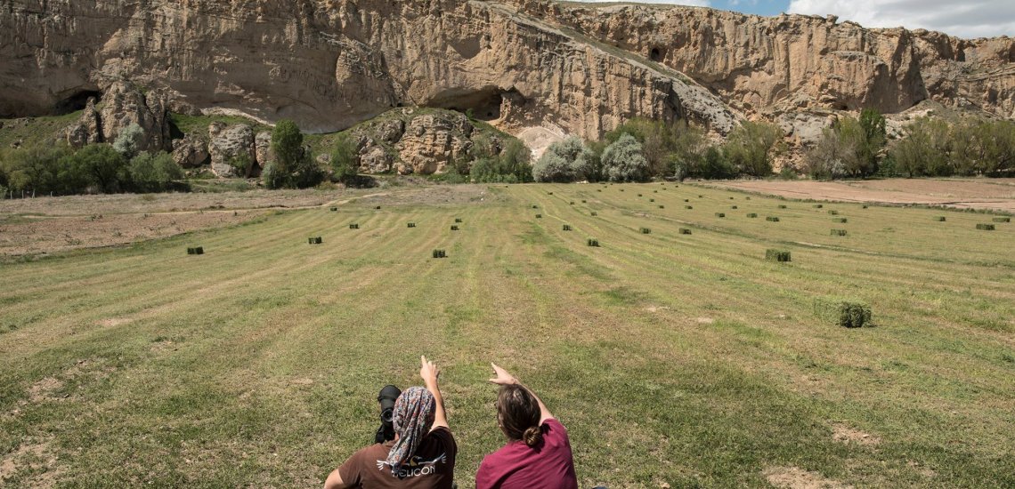 turkey_steppe_birds_conservation