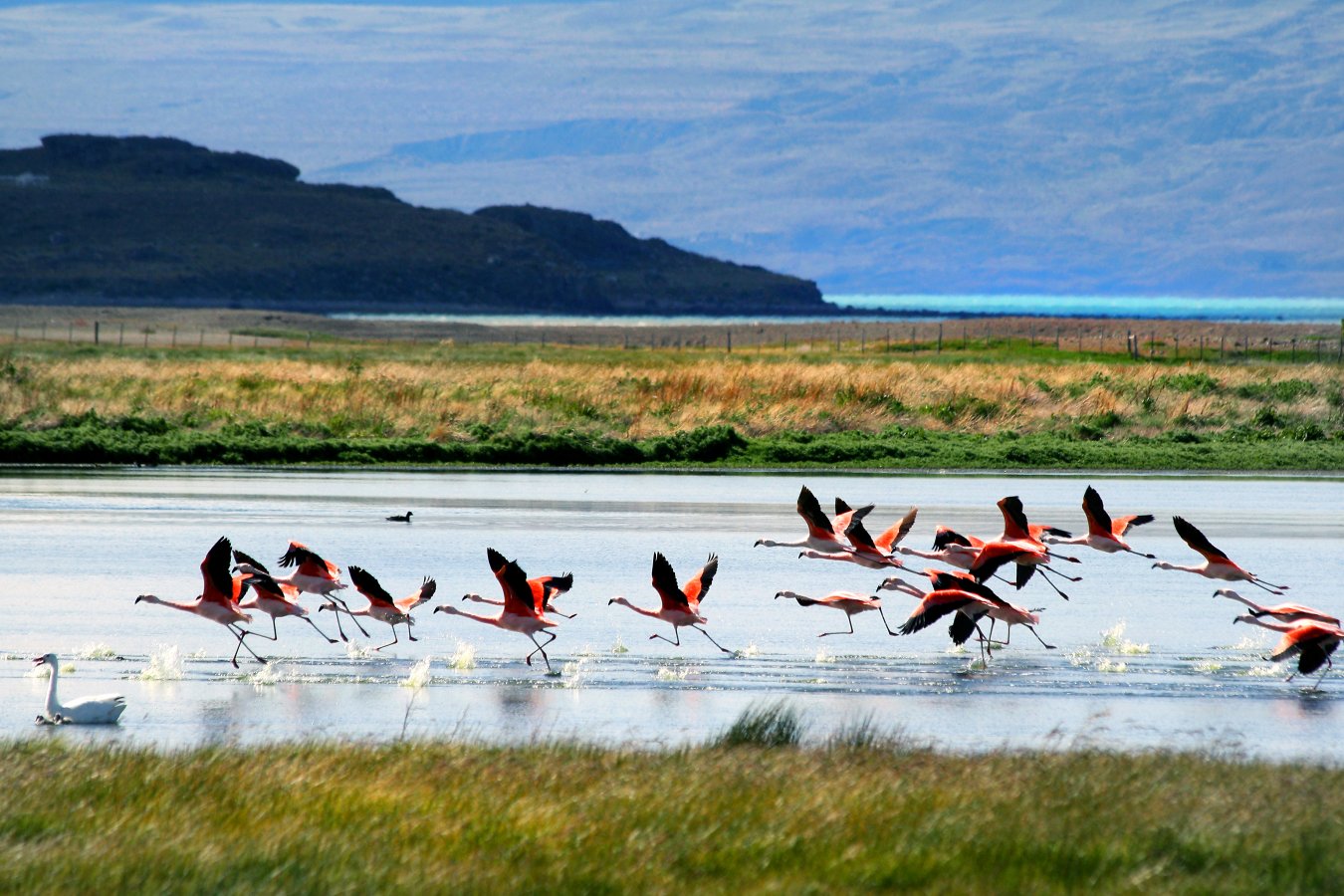 lago_argentino_argentina_c_dimitri_b