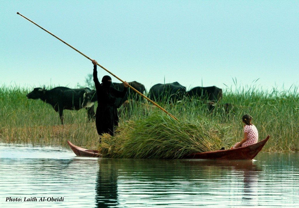 iraqi-marshes-photo-credit-laith-ali-al-obeidi