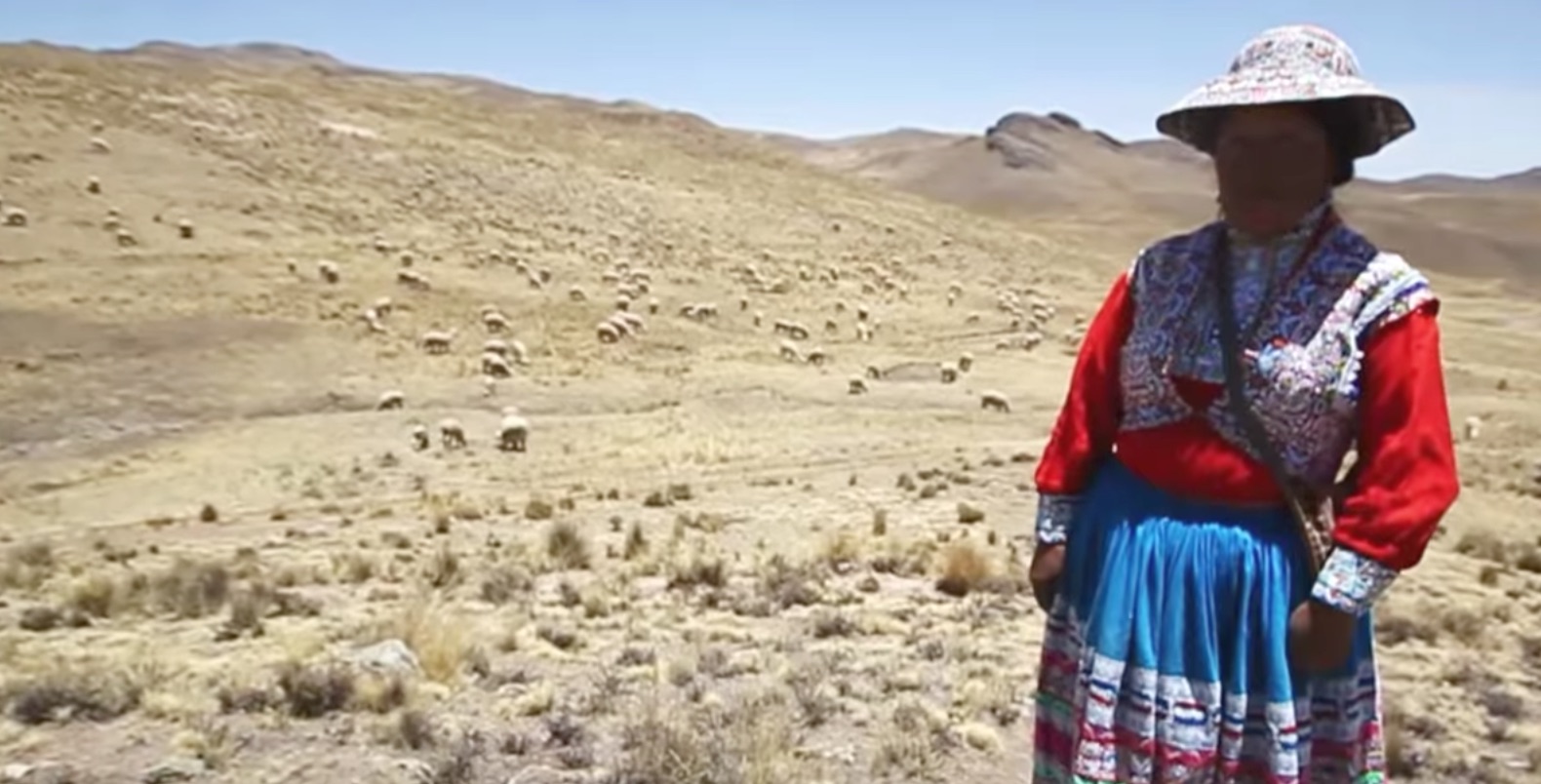 Pastoralism and Land Tenure Study Tour to Peru